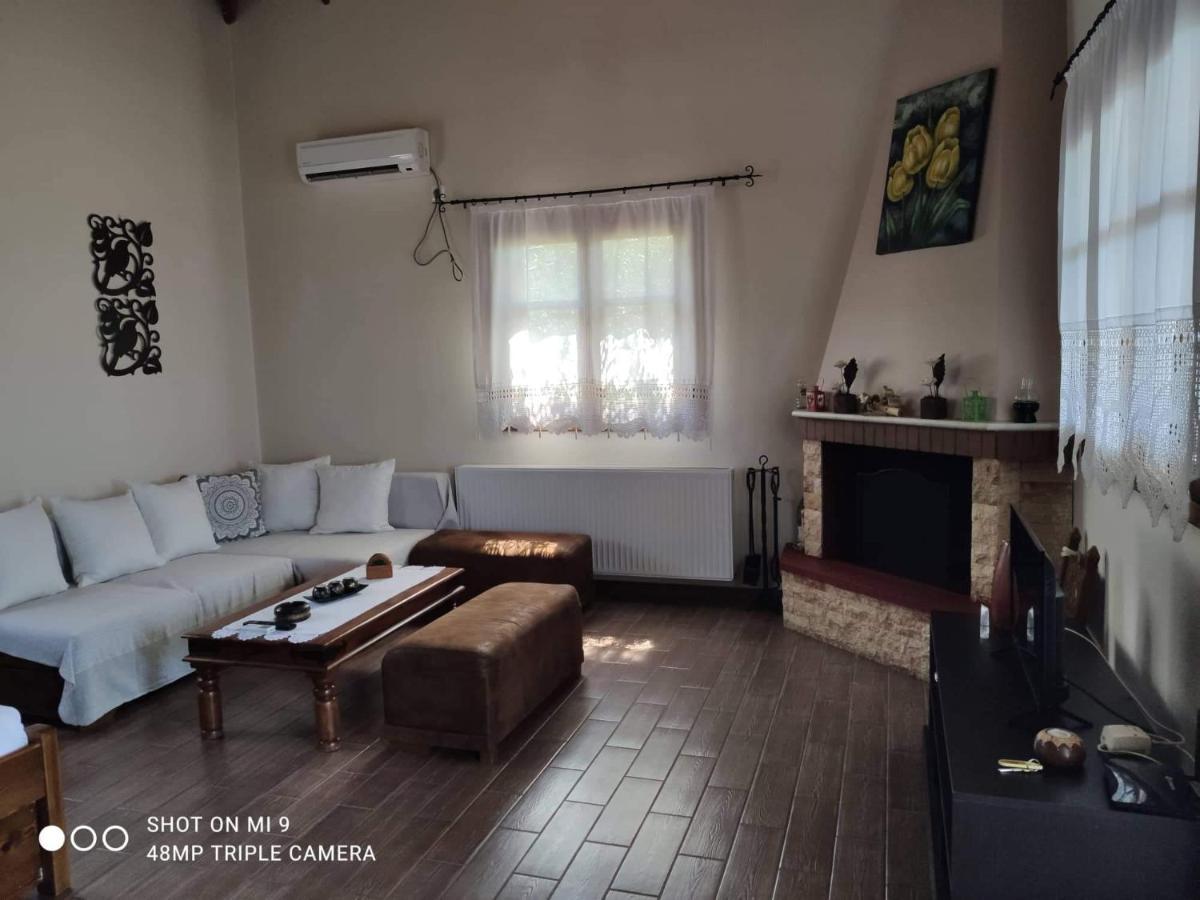 Elia House 1 Astoning Sea View Among The Olive Trees Apartment Patitiri  Ngoại thất bức ảnh