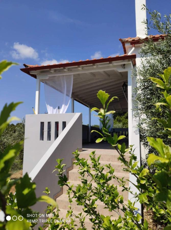 Elia House 1 Astoning Sea View Among The Olive Trees Apartment Patitiri  Ngoại thất bức ảnh