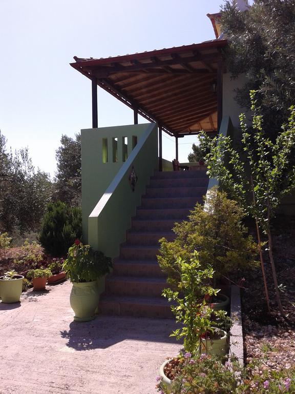 Elia House 1 Astoning Sea View Among The Olive Trees Apartment Patitiri  Ngoại thất bức ảnh
